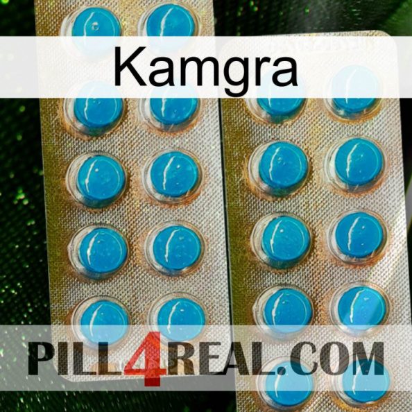 Kamgra new08.jpg